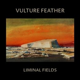 VULTURE FEATHER - LIMINAL FIELDS (BONE COLOURED VINYL) - LP