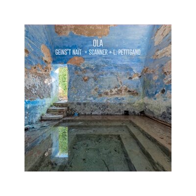 GEINST NAIT & SCANNER & L. PETITGAND - OLA - CD