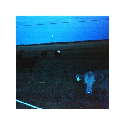 WAVEFORM* - ANTARCTICA - LP