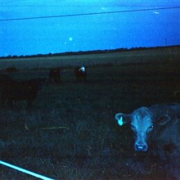 WAVEFORM* - ANTARCTICA - LP