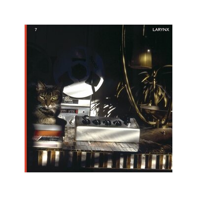 LARY 7 - LARYNX - LP