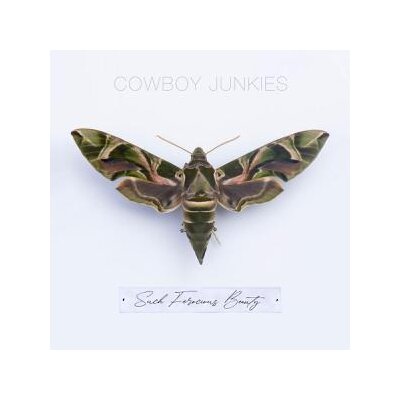 COWBOY JUNKIES - SUCH FEROCIOUS BEAUTY - CD