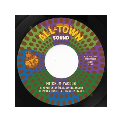 YACOUB, MITCHUM - NEVER KNEW - 7"