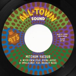 YACOUB, MITCHUM - NEVER KNEW - 7"