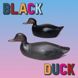 BLACK DUCK - BLACK DUCK - LP
