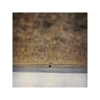 OROURKE, JIM - HANDS THAT BIND (ORIGINAL MOTION PICTURE SOUNDTRACK) - LP