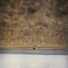 OROURKE, JIM - HANDS THAT BIND (ORIGINAL MOTION PICTURE...