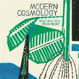 MODERN COSMOLOGY - WHAT WILL YOU GROW NOW? - LP