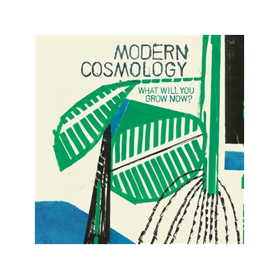 MODERN COSMOLOGY - WHAT WILL YOU GROW NOW? - CD