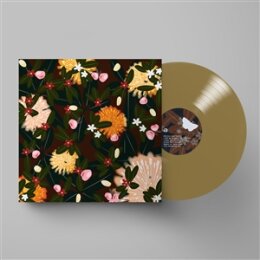 BRIGHT EYES - NOISE FLOOR (RARITIES:1998-2005) (CHAMPAGNE...