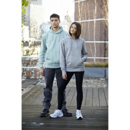 Continental - COR51P - Unisex Heavy Pullover Hoodie - Moss