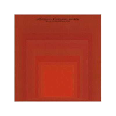 HALSALL, MATTHEW & THE GONDWANA ORCHESTRA - WHEN THE WORLD WAS ONE - CD