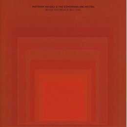 HALSALL, MATTHEW & THE GONDWANA ORCHESTRA - WHEN THE...
