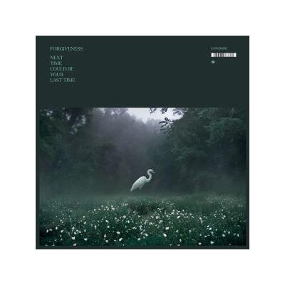 FORGIVENESS - NEXT TIME COULD BE YOUR LAST TIME - CD