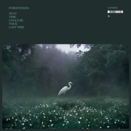 FORGIVENESS - NEXT TIME COULD BE YOUR LAST TIME - CD