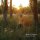 HALSALL, MATTHEW - FLETCHER MOSS PARK - LP