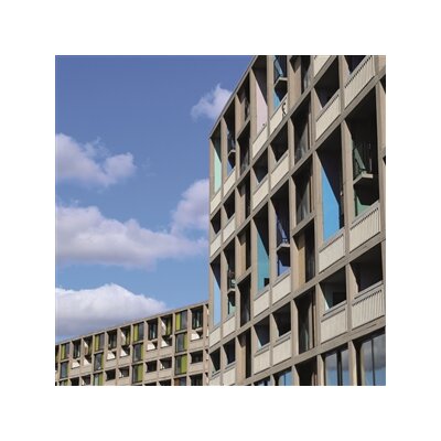 WEDDING PRESENT, THE - 24 SONGS (3LP+1DVD) - L+D