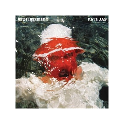 JAY, PALE - BEWILDERMENT - LP