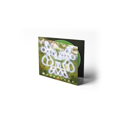 KIBI JAMES - DELUSIONS - CD