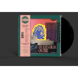 CARLOS NIÑO & FRIENDS - (IM JUST) CHILLIN, ON...