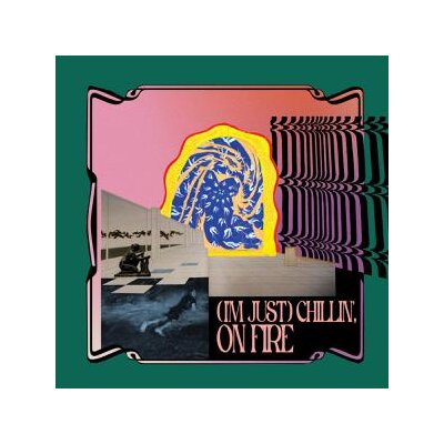 CARLOS NIÑO & FRIENDS - (IM JUST) CHILLIN, ON FIRE - CD