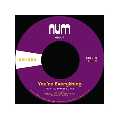 DIXON, MICHAEL A. & J.O.Y - YOURE EVERYTHING B/W YOURE ALL I NEED - 7"