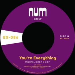 DIXON, MICHAEL A. & J.O.Y - YOURE EVERYTHING B/W...
