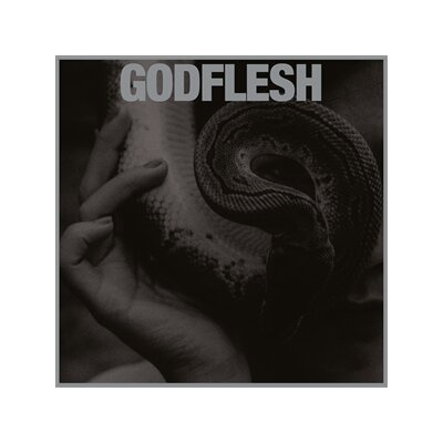 GODFLESH - PURGE - LP