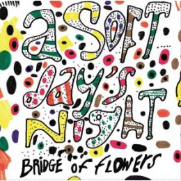 BRIDGE OF FLOWERS - SOFT DAYS NIGHT - LP