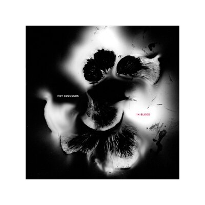 HEY COLOSSUS - IN BLOOD - CD