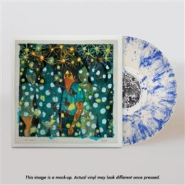 BUTLER, WILL + SISTER SQUARES - WILL BUTLER + SISTER...