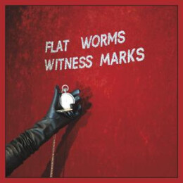 FLAT WORMS - WITNESS MARKS - MC