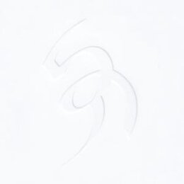 AUGUST, DAVID - VIS - CD