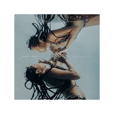 WOODS, JAMILA - WATER MADE US - CD