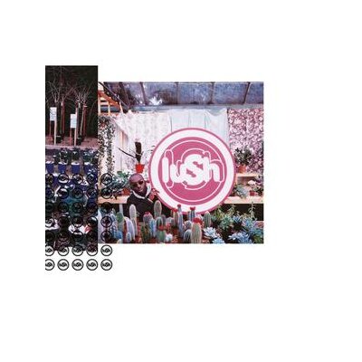 LUSH - LOVELIFE (REISSUE) - LP
