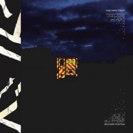 GUM TAKES TOOTH - RECOVERY POSITION - LP