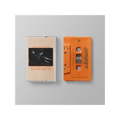 MITSKI - THE LAND IS INHOSPITABLE AND SO ARE WE (MC) - MC