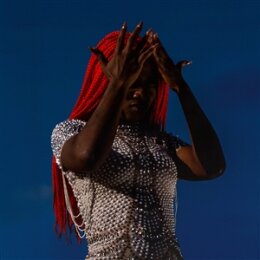 AUNTY RAYZOR - VIRAL WRECKAGE (TRANSLUCENT RED VINYL) - LP