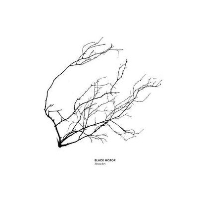 BLACK MOTOR - BRANCHES - CD