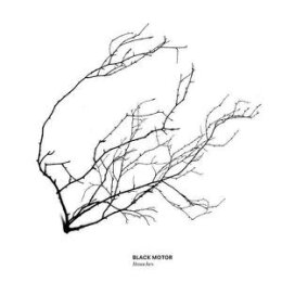 BLACK MOTOR - BRANCHES - CD