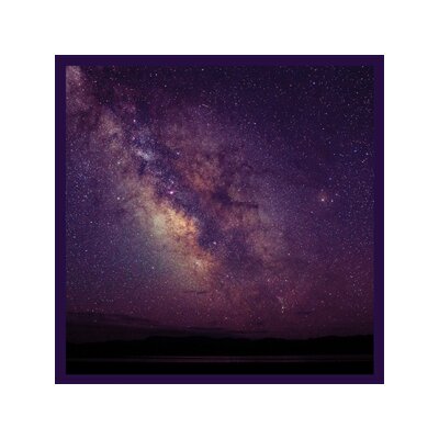 LIZ METTA - INTROSPECTION - LP