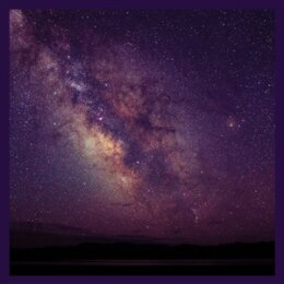 LIZ METTA - INTROSPECTION - LP