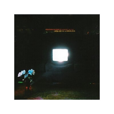 EMERALDS - DOES IT LOOK LIKE IM HERE? (LTD. ECTOPLASM VINYL) - LP