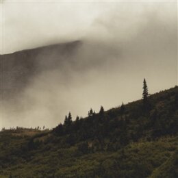 LORD BUFFALO - TOHU WA BOHU (TRANSPARENT COKE BOTTLE...