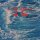 BLUE DOLPHIN - ROBERTS LAFITTE - LP
