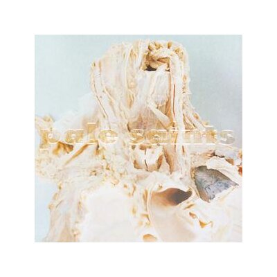 PALE SAINTS - IN RIBBONS (LTD. 30TH ANNIVERSARY DELUXE 2 LP UNPIGMENT - LP