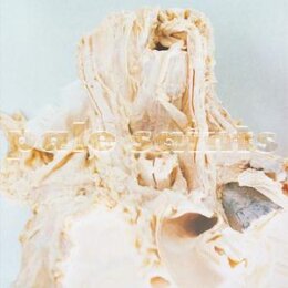 PALE SAINTS - IN RIBBONS (LTD. 30TH ANNIVERSARY DELUXE 2...