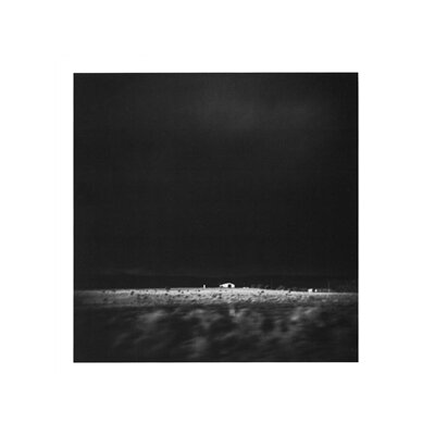 EARLY DAY MINERS - PLACER FOUND (20TH ANNIVERSARY EDITION) - LP