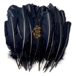 EDWARDS, DAVID EUGENE - HYACINTH - LTD AMBER VINYL - LP