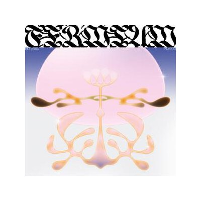 FERMIUM - BETWEEN NOTHING AND ALWAYS - LP